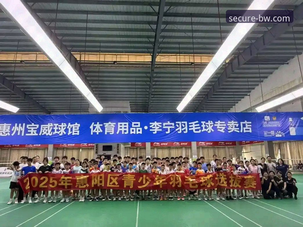 揭秘宝威体育官网入口真相：从混乱中找到BW官方安全通道的终极指南